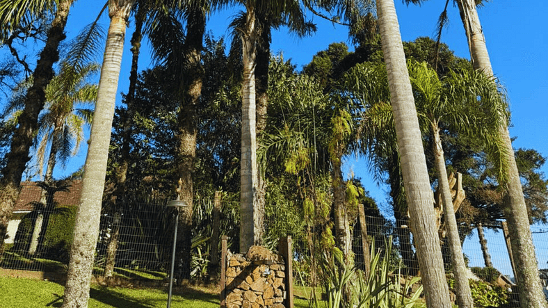 Apartamento no Centro de Gramado